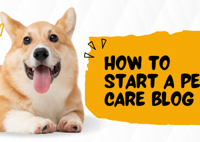 How To Start A Pet Care Blog To Make Money In 2024