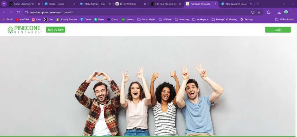 best survey sites