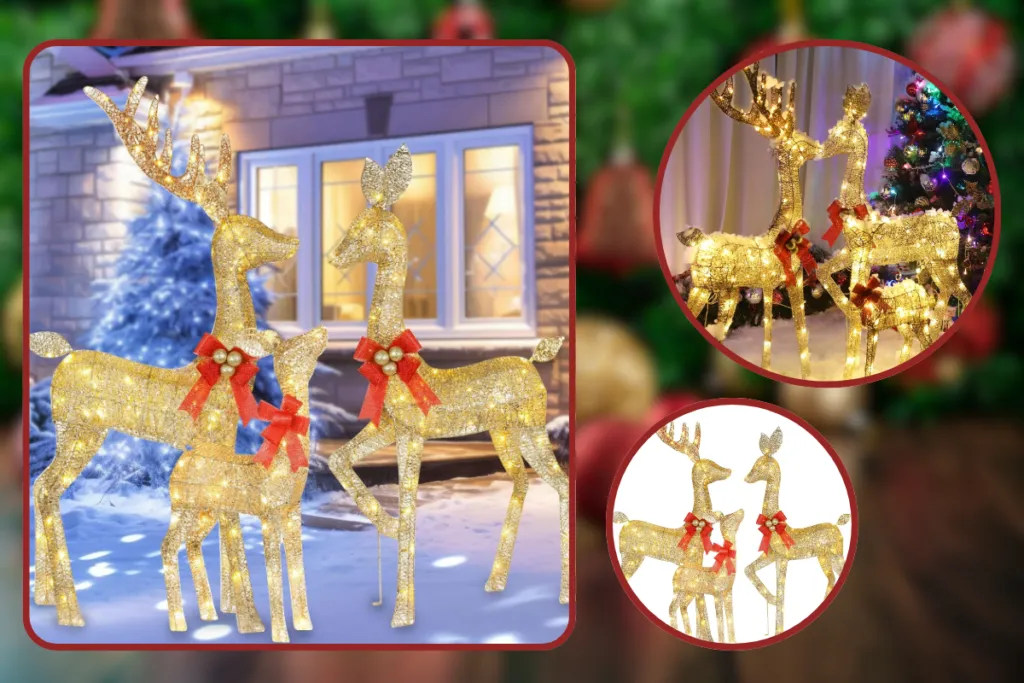 Christmas Outdoor Lighted Ornaments