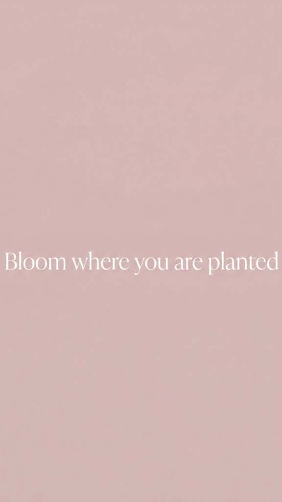 Pastel Spring Wallpapers