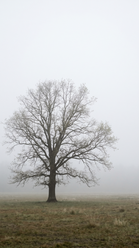 Spring Cozy Rainy Day Aesthetic Wallpapers